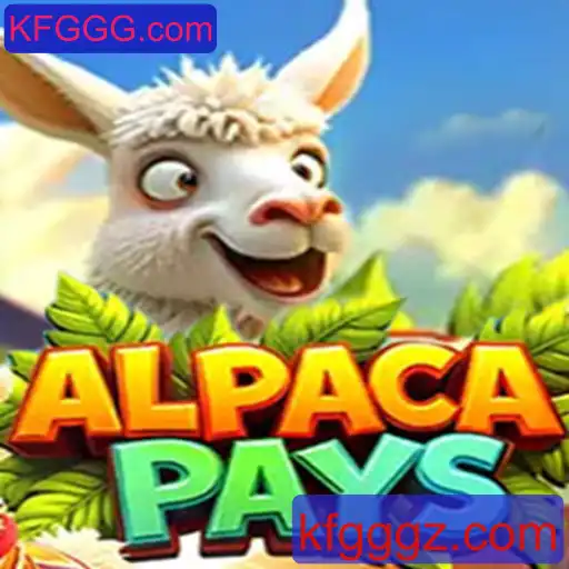 Descubra o Jogo 